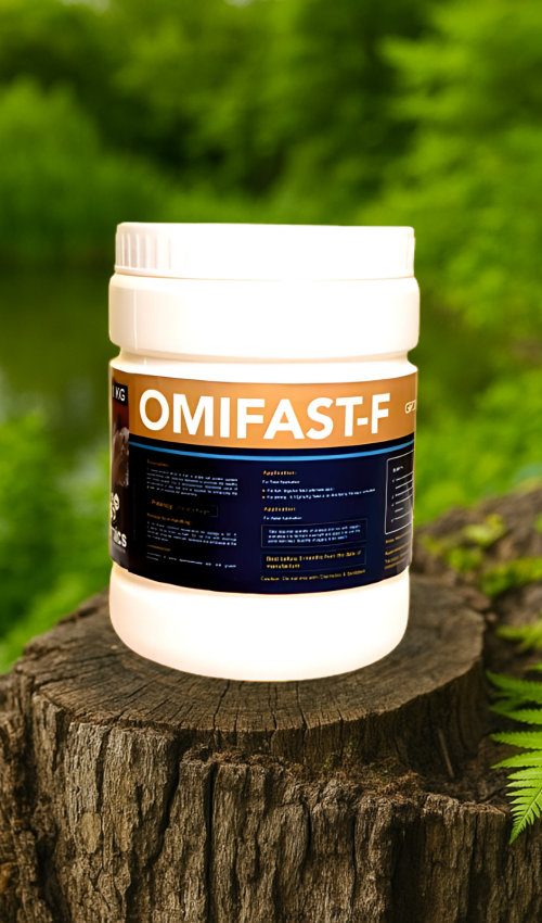 Untitled design - 2025-06-27T012809.594