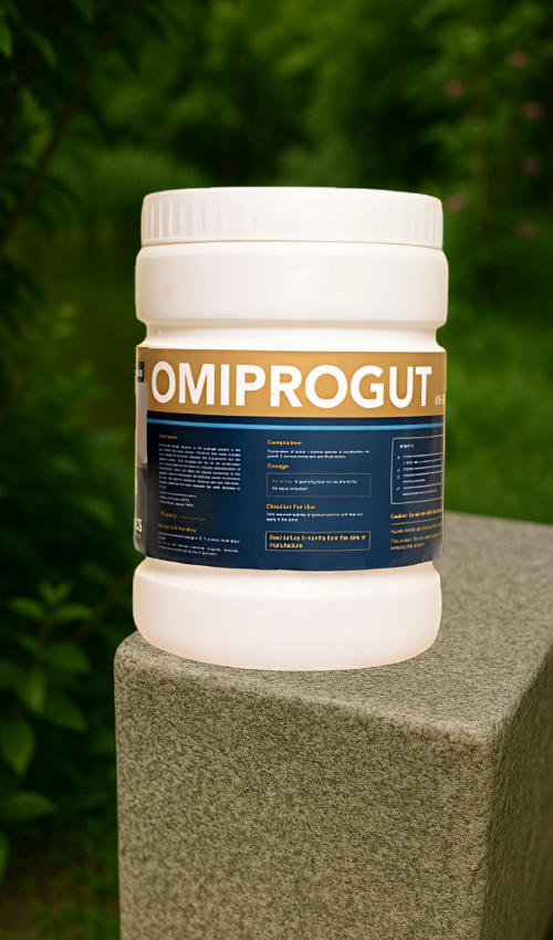 Untitled design - 2025-06-27T013534.971