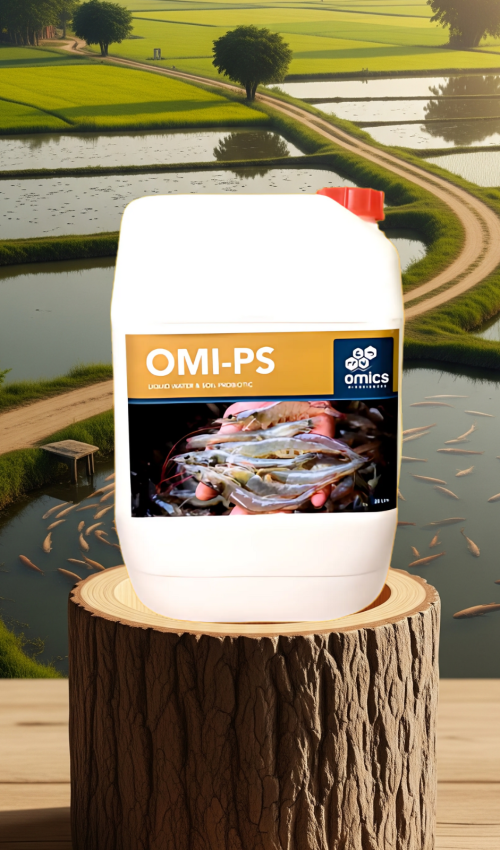 Untitled design - 2025-06-27T014402.220