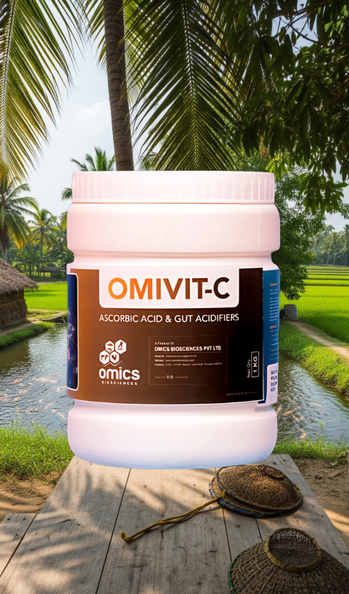 Untitled design - 2025-06-27T020017.493