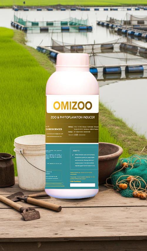 Untitled design - 2025-06-27T020440.502