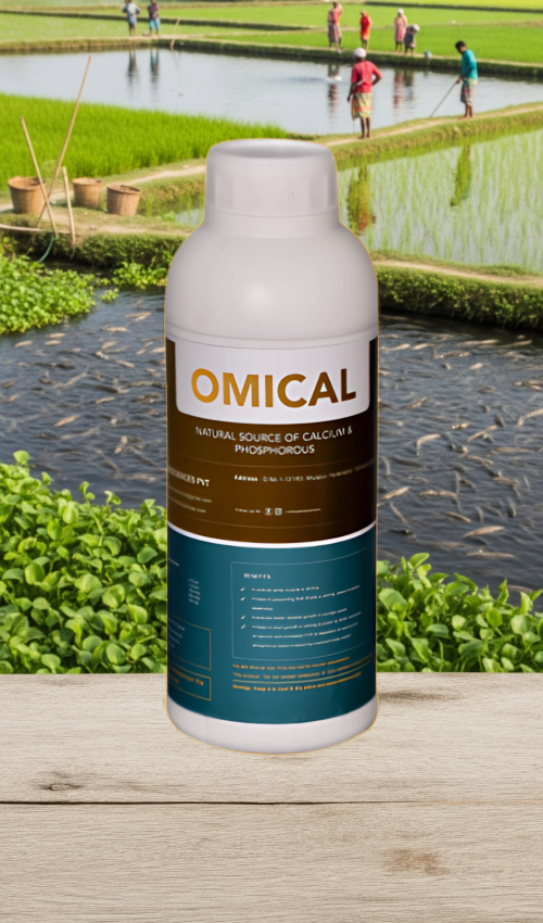 Untitled design - 2025-06-27T030323.351