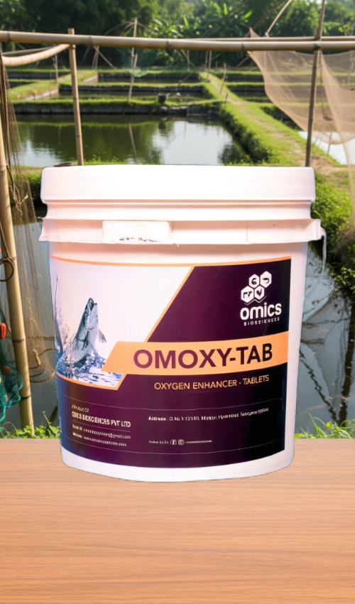 Untitled design - 2025-06-27T031054.290