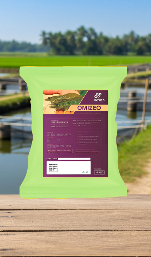 Untitled design - 2025-06-27T031735.307