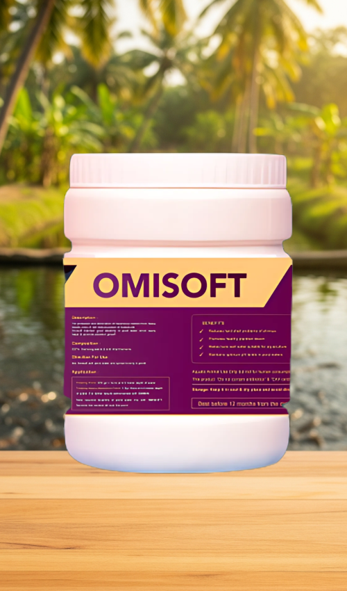 Untitled design - 2025-06-27T032020.568